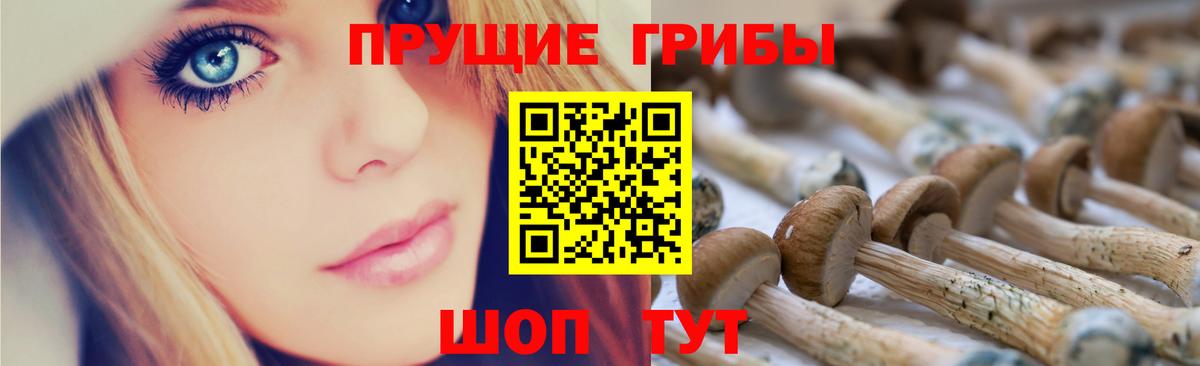Галлюциногенные грибы прущие грибы Усть-Лабинск